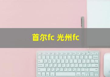 首尔fc 光州fc